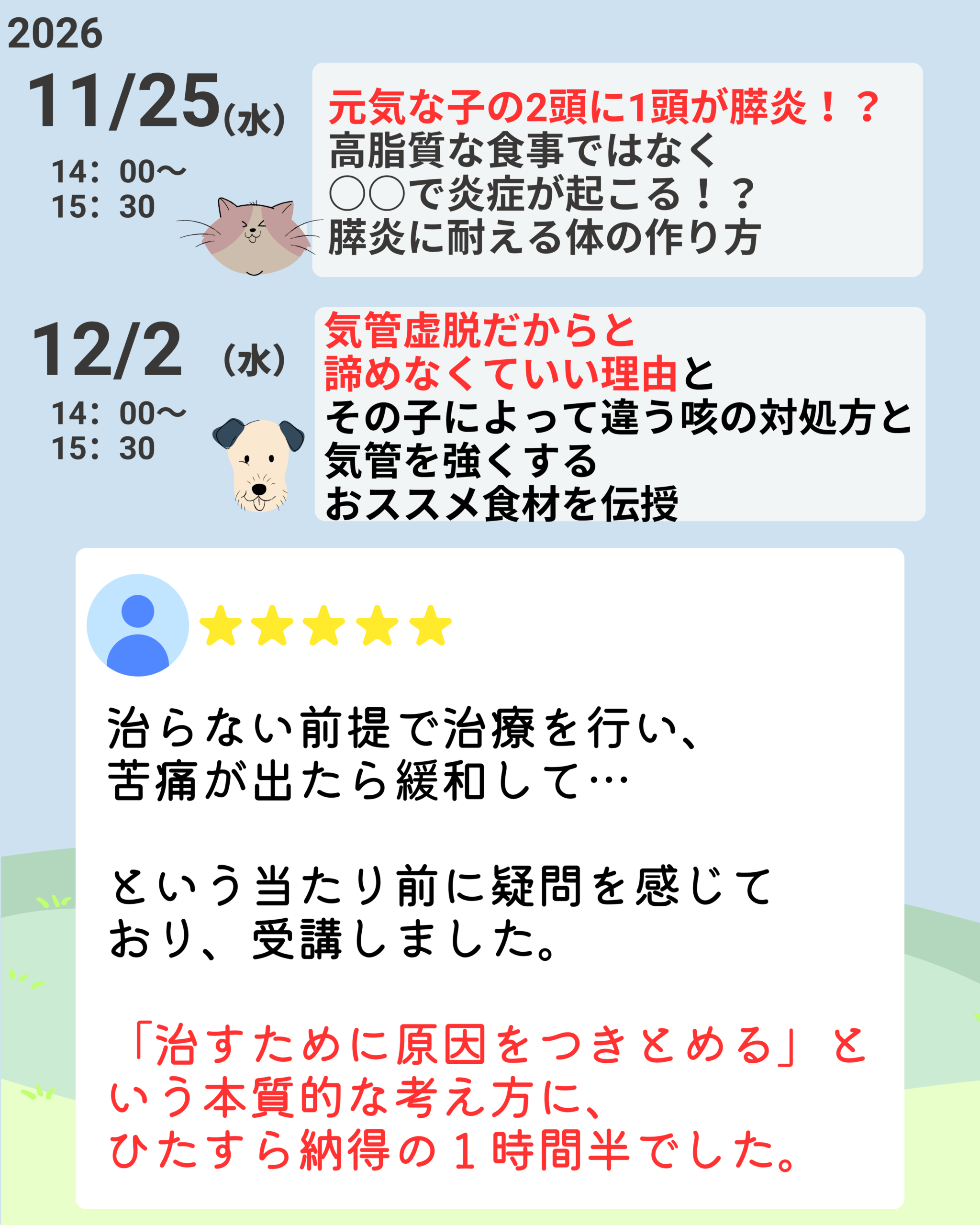 スケジュール