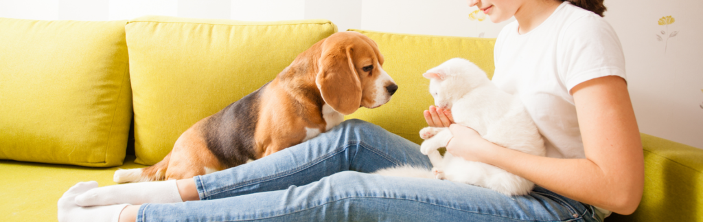 犬と猫と人