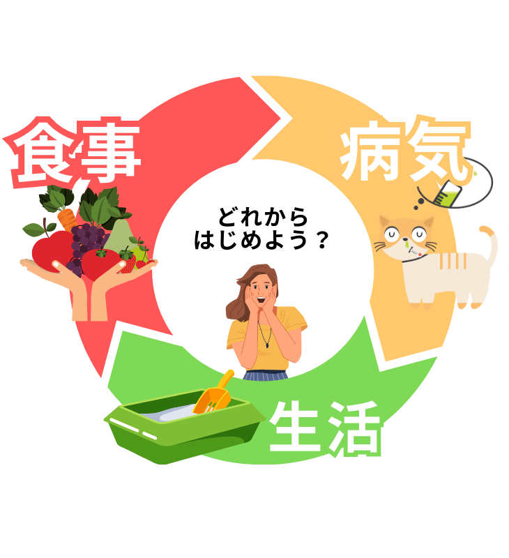 説明図