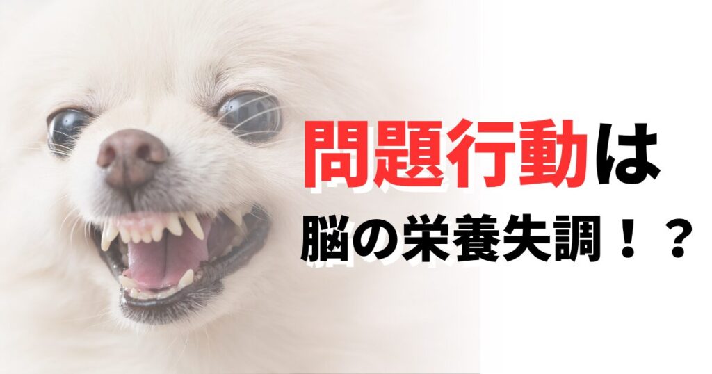 問題行動
