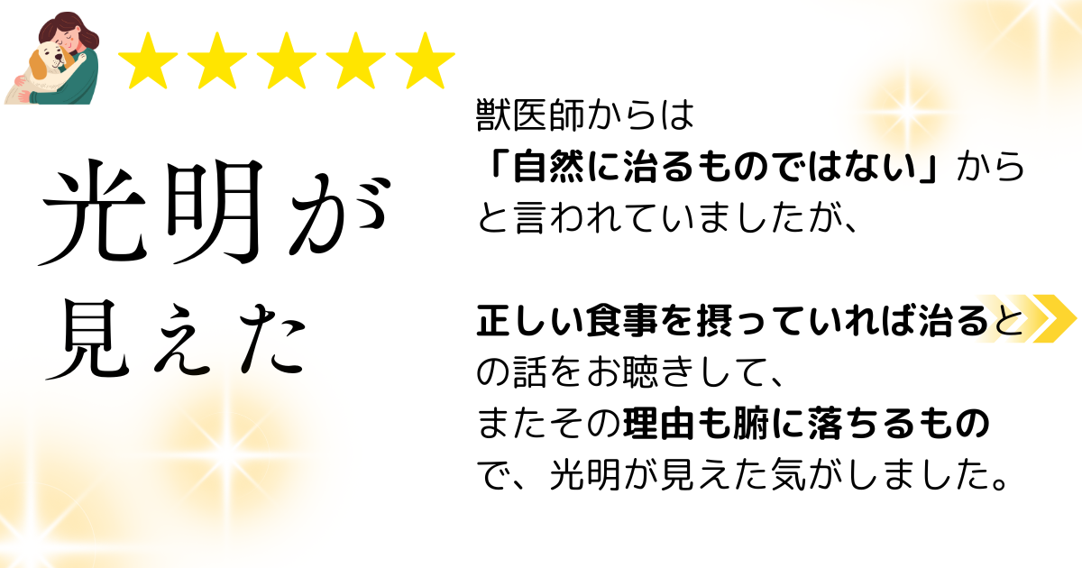 口コミ