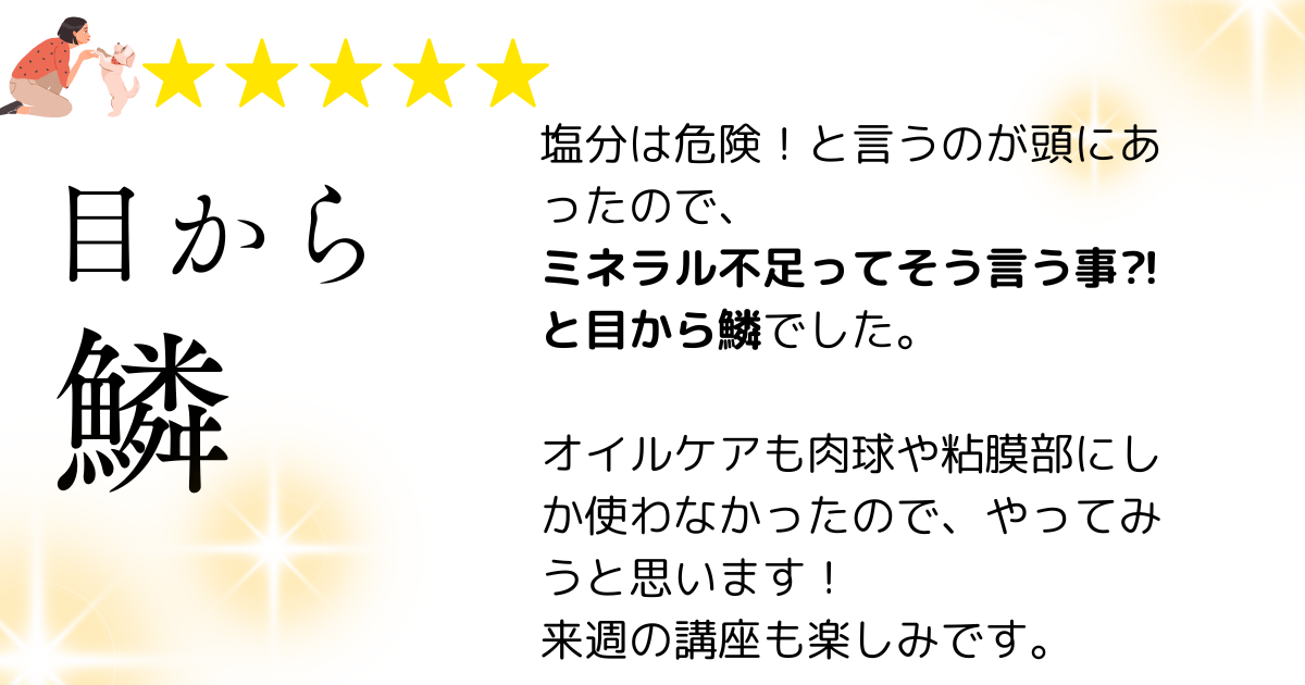 口コミ