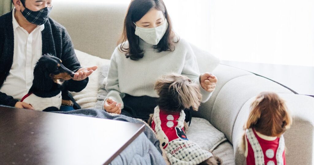 犬吠える