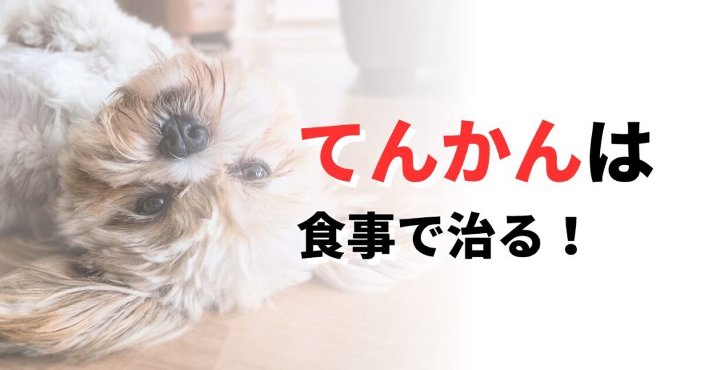 犬 てんかん