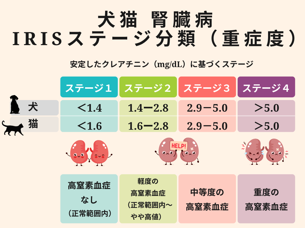 犬猫腎臓病ステージ分類