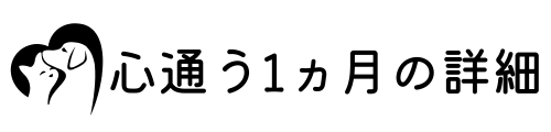 ボタン