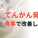 犬てんかん　治った