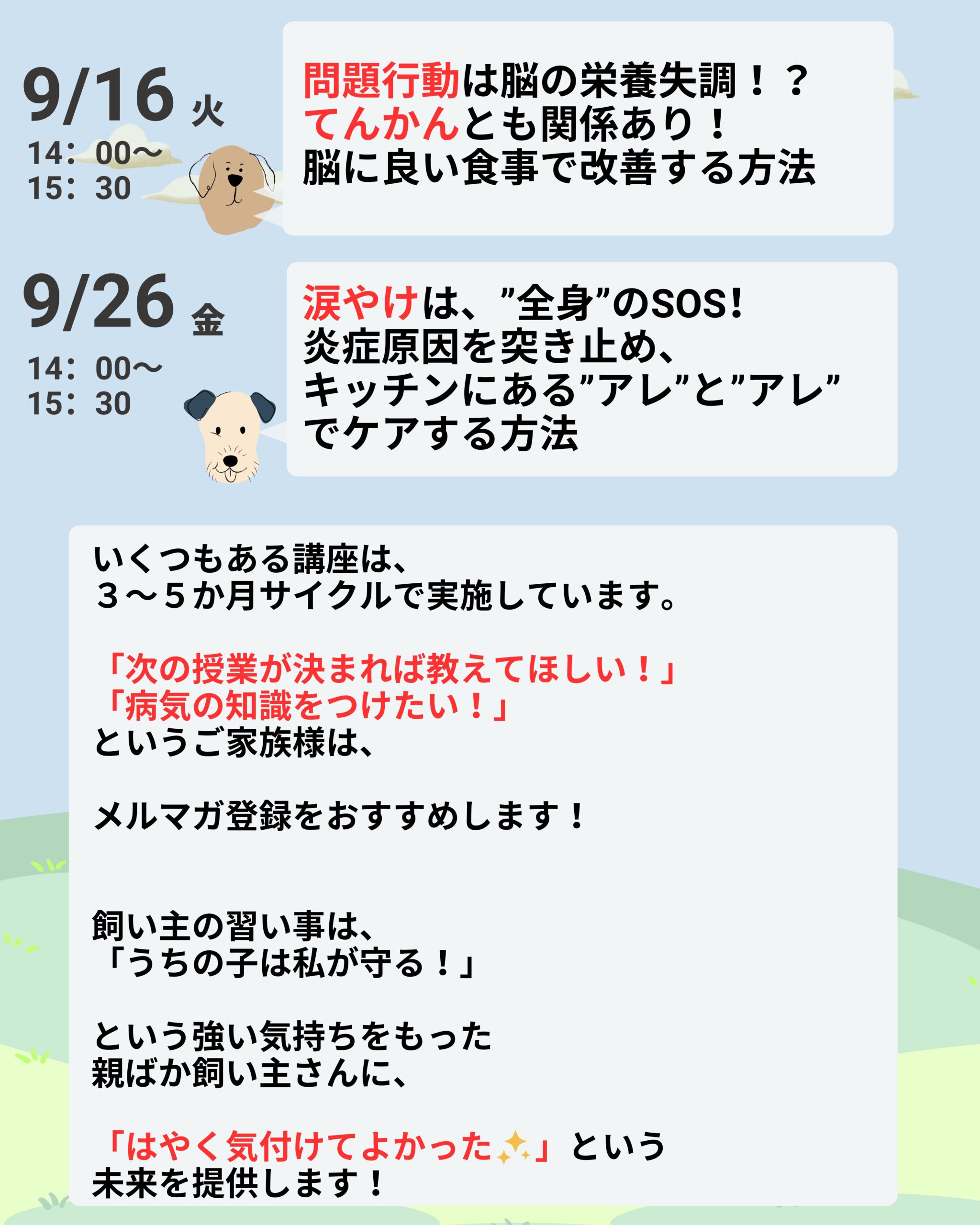 飼い主の習い事