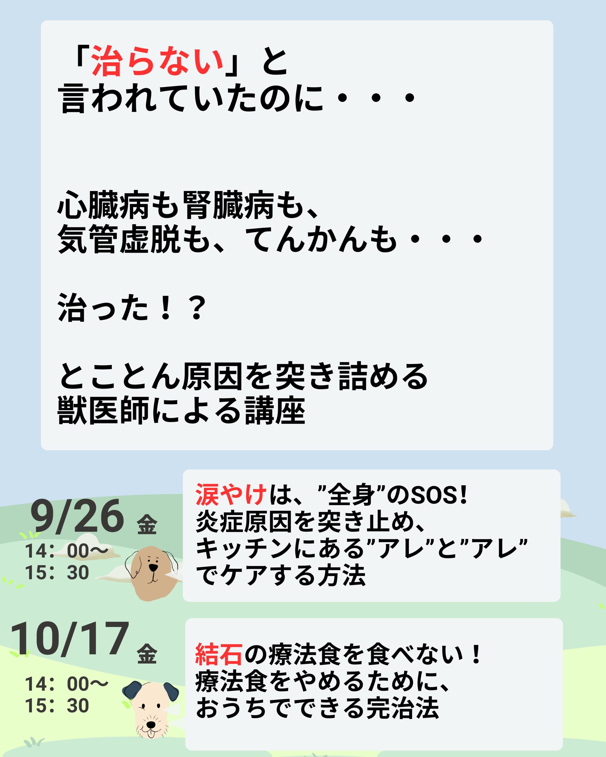 飼い主の習い事