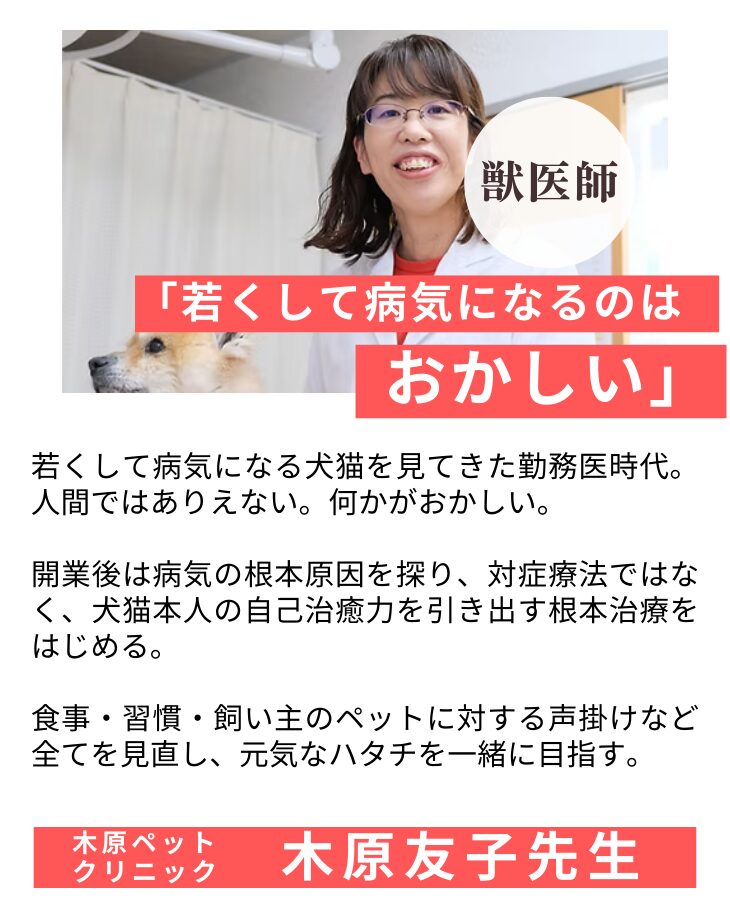 獣医師紹介　木原友子先生