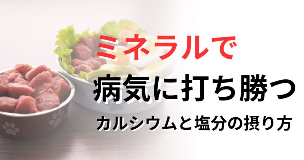 犬猫手作り食 ミネラルバランス