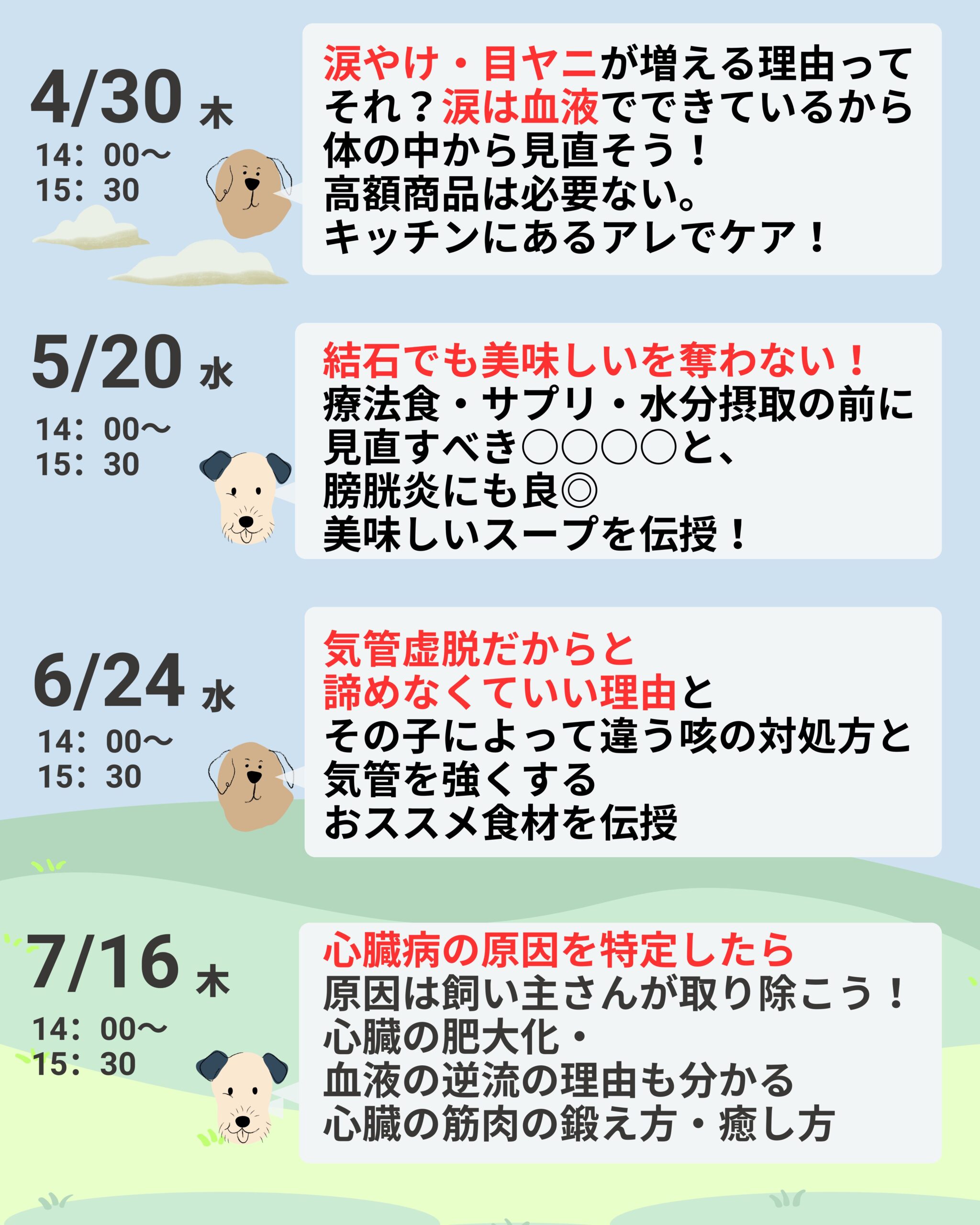 病気犬猫スケジュール表