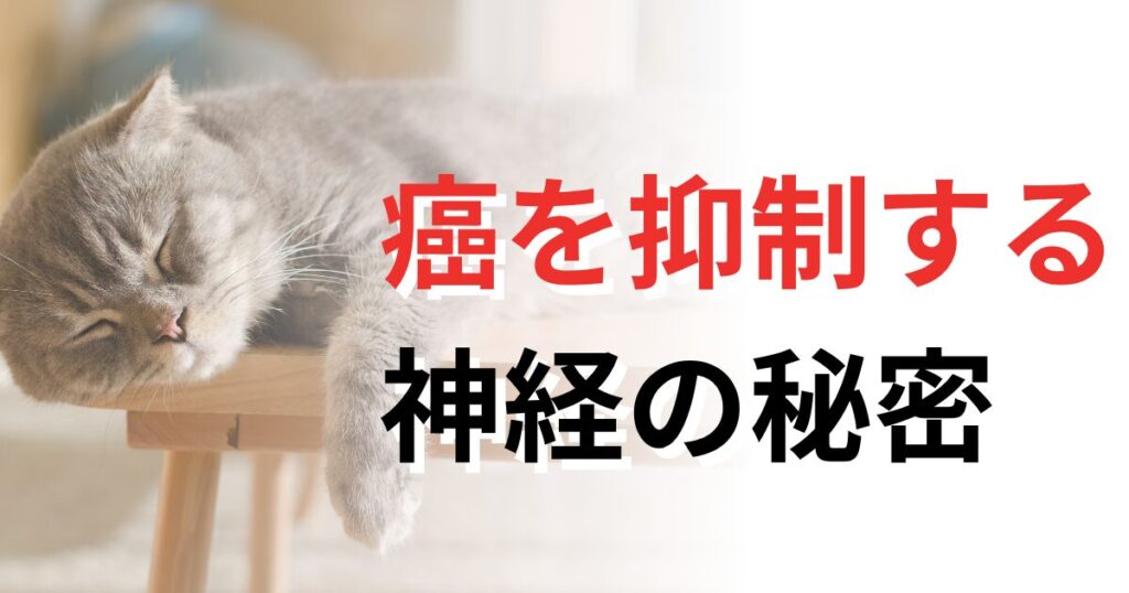 癌　猫　根本治療