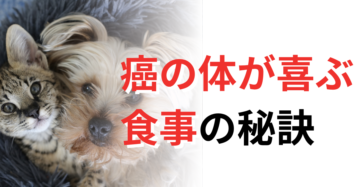 癌　犬猫