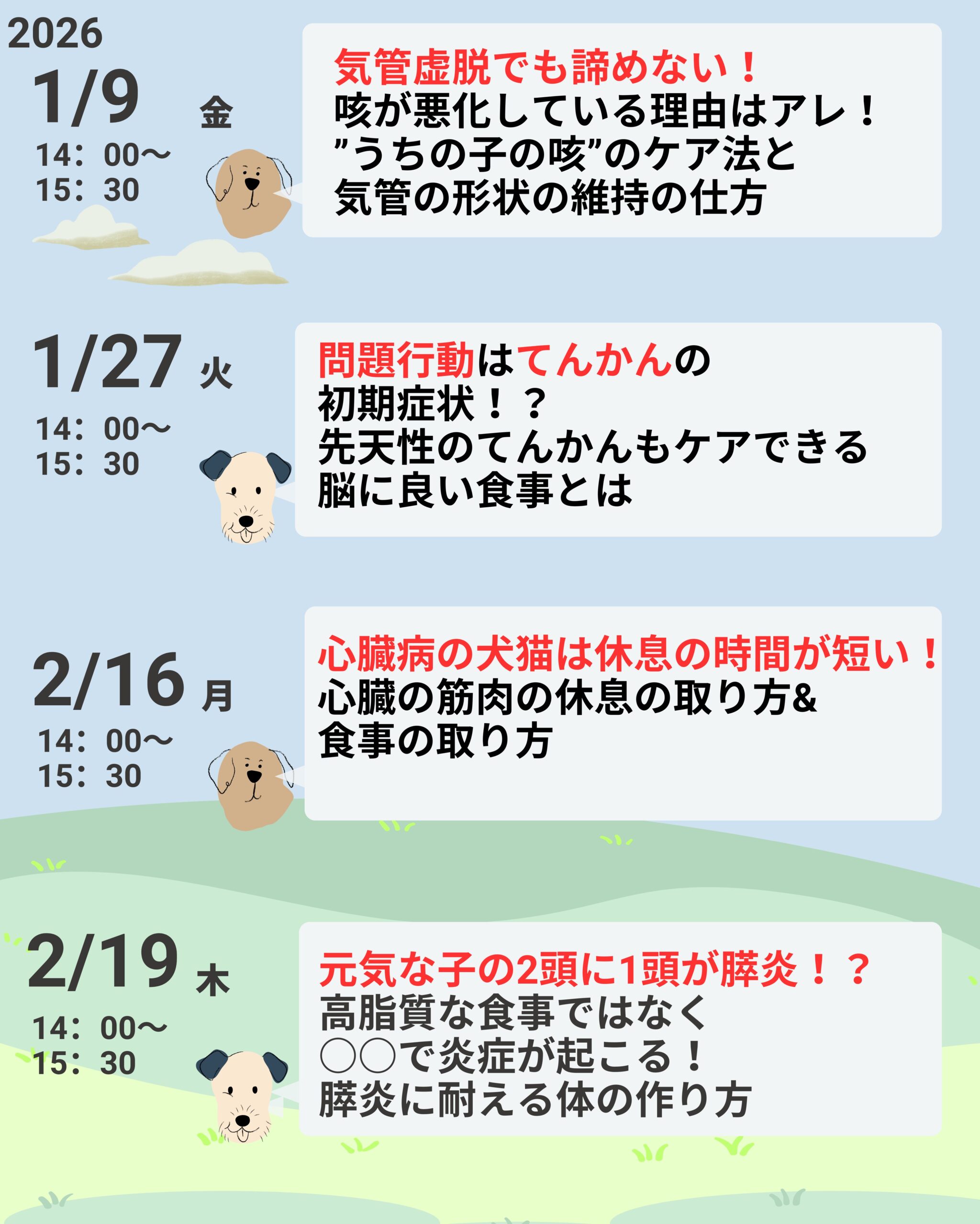 スケジュール