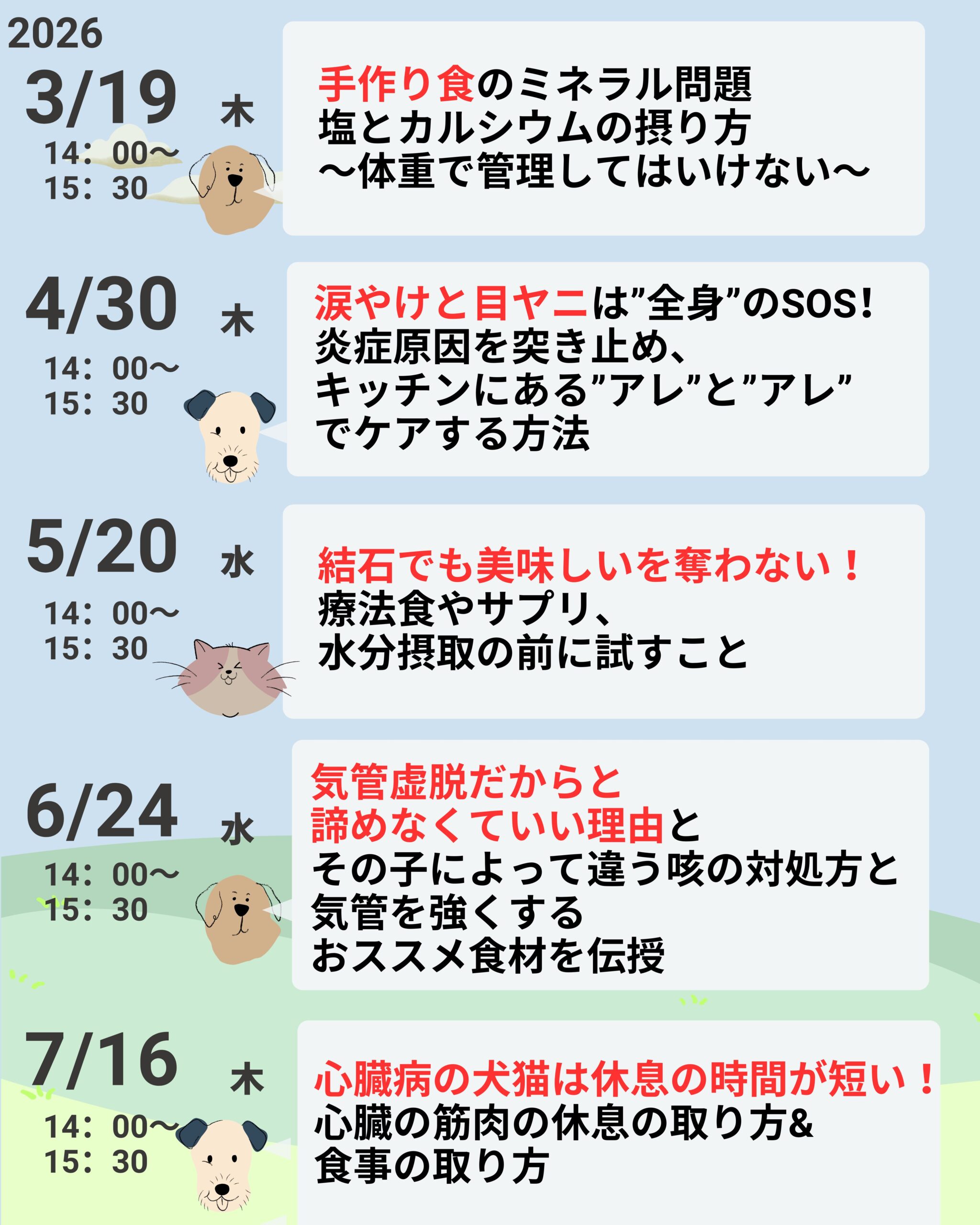 スケジュール