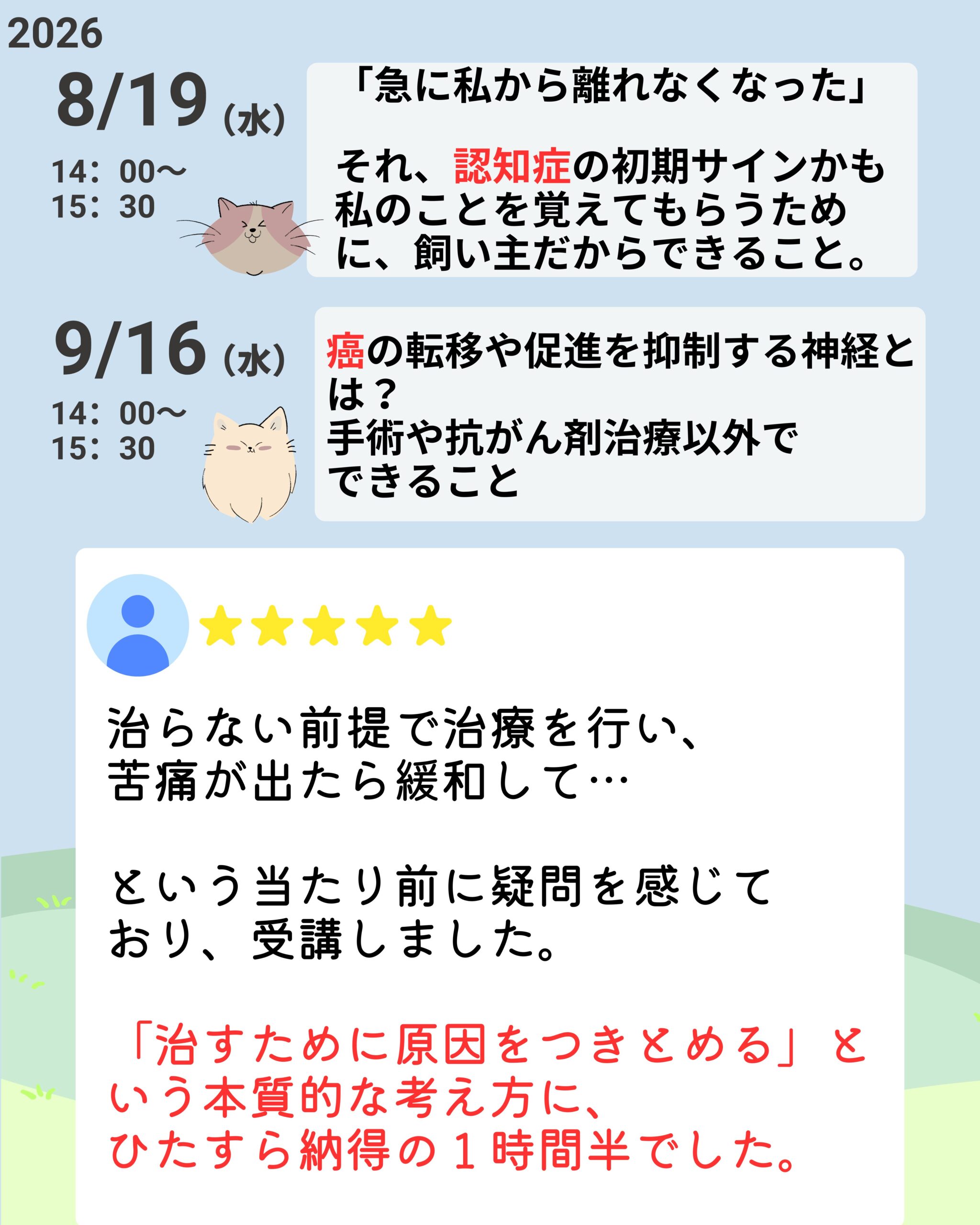 スケジュール